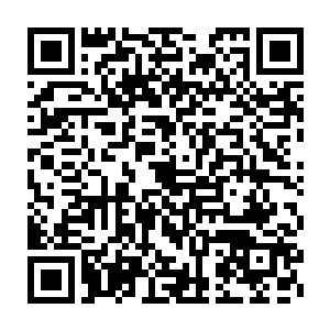 只不过当心如刀绞的杨青风看到幼崽伸舌头舔了舔徐凤年掌心鲜血二维码生成