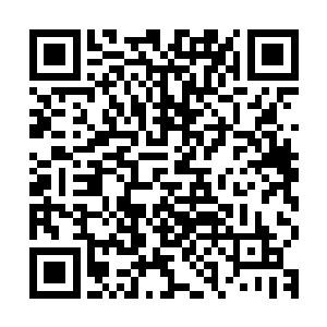 只不过现在大家还不能够理解为什么主任给了他们这样的一本书二维码生成