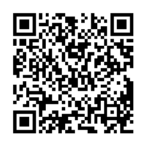 只怕有人已经在开始琢磨弹劾左督卫的奏本该怎么写了二维码生成