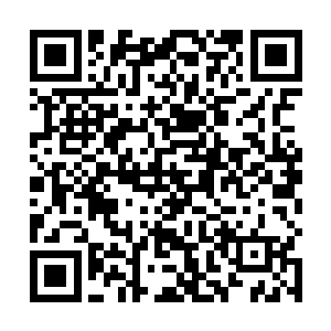 只怕此刻光这无比庞大的资料就已经足以撼动他的神魂二维码生成