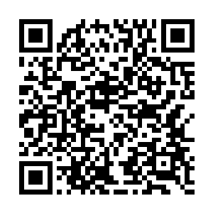 只是一句神挡杀神佛挡杀佛就为自己的行为找到借口了二维码生成