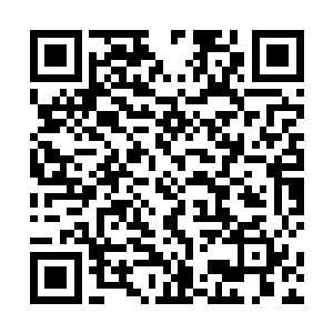 只是他也明白了苏家第三代无可用之人的说法所为何来二维码生成