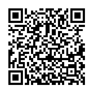 只是当手再次握着夏云杰那看似修长秀气却很有力气的手掌时二维码生成