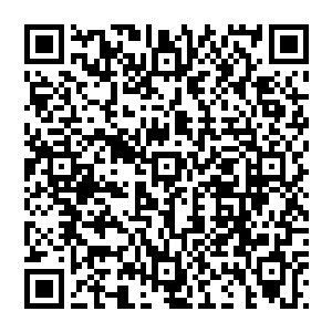 只是我听说无论是昌州还是丰州这方面尝试企业方面都是要向地方政府约定年限分期支付部分资金二维码生成