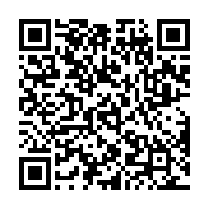 只是林会长却说这件法器已经是报备给玄学会总部了的二维码生成