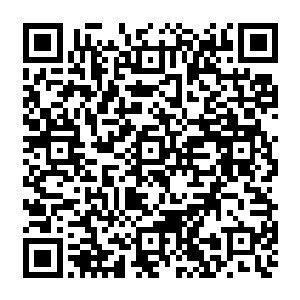 只是留下了一个小小的打着问号的书签――人到底有没有这样与生俱来的超凡本能二维码生成