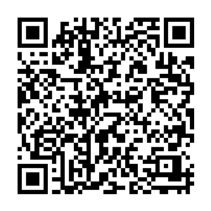 只是那被夜影压在脚底下的司徒寻磊以及沐剑枫两人却是有些愤怒的出声道二维码生成