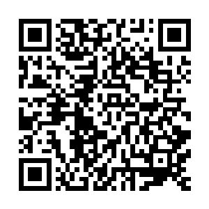 只有与会而没有表决权的十几名年轻人自然而然的聚到了一起二维码生成