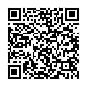 只有唐劫本尊行的上古体修之路才是纯粹的真正体修二维码生成