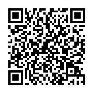 只有强酸磨蚀了巨灵神的几条触手--但触手很快就重生了二维码生成