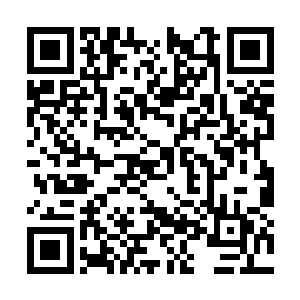 只有淡淡的恨意和无奈……他只是碍于老婆的淫威二维码生成