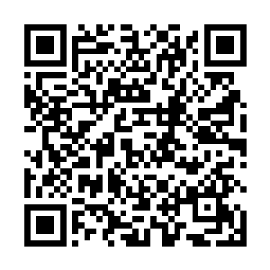 只用背包带走了一点点他能带走而不影响他实力的珍宝二维码生成