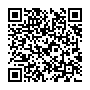 只要他将皇宫的这笼罩了整个皇宫的护国大阵启动二维码生成
