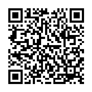 只要你跟我签订生死血契之后我就会把你变成强大的巫妖二维码生成