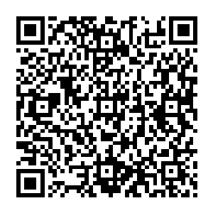 只要苏轼把放在诗词上的灵光用在考虑时政上他的成就绝对不止一个千古大文人这个地步二维码生成