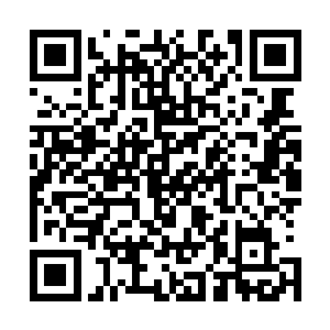 只见小白又被何兴言的一枚金钱镖打在了雪白娇美的身体上二维码生成