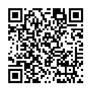 可他以后要和小乖乖和以后的孩子生活在这个世界一辈子的二维码生成