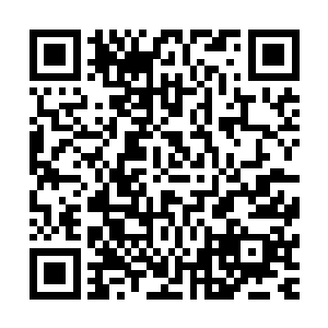 可以听到观众们趁着片头切入的短暂时间进行细细讨论的声音二维码生成