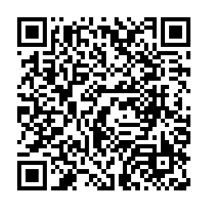可以获得一枚半步至尊灵兽层次的水系凶兽的内丹……甚至是半步金丹二维码生成