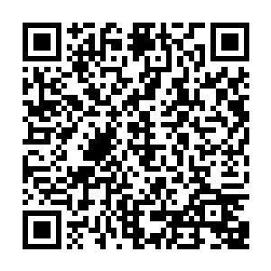 可以说是修炼雷系元力的武者最为理想的修炼圣地信仰修仙系统最新章节二维码生成