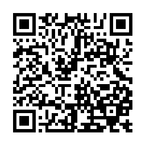 可以说这个项目的成绩不但代表了电影本身的质量二维码生成