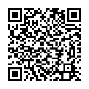 可攻击余威硬是挫着整个动作不变的苗毅原地后滑三尺二维码生成
