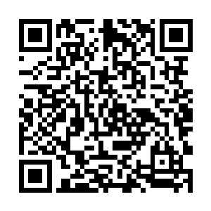 可是在这位爷爷最信任的老管家面前寇文蓝不敢托大二维码生成