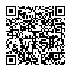 可是她刚要继续报告的时候却发现夏天又用他那色眯眯的眼神看着自己的胸部二维码生成