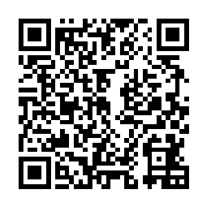 可是将军他……他太……太过分了……瑾姐明明都快死了二维码生成