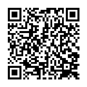 可是就算是再厉害龙傲天也不相信对方会有顶级神高手二维码生成