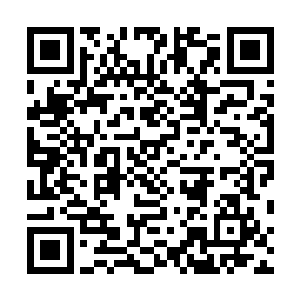 可是放在外界也足以成为让人们胆寒和恐惧的可怕杀神了二维码生成