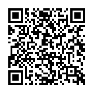 可是现在整个地面却形成了一片密密麻麻的深林二维码生成