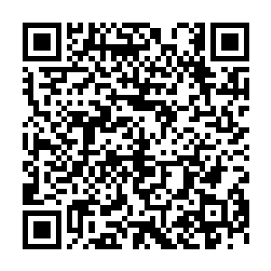 可是眼前的这位笑君主……怎地跟我印象中的笑君主形象不一样啊二维码生成