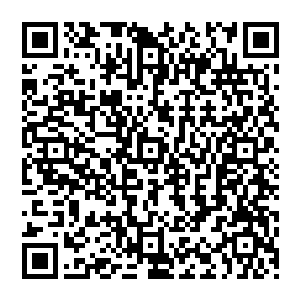 可是经过孟芸之手炼制出来的化元丹效果凭空比普通的化元丹效果强大了差不多有三成的样子二维码生成