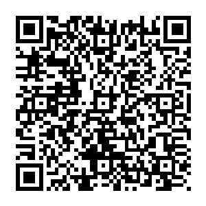 可是自从她见过夏天以来她发现自己所看到的夏天和叶清雪所描述的完全就是两个不同的人二维码生成