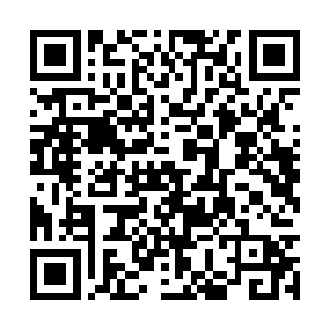 可最终还是硬着头皮释放出银梭一头钻入了星门中二维码生成