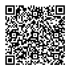 可每一次都在筋疲力竭连手都举不起来以后被后面一拥而上的野狼与巨狼们撕成了碎片二维码生成