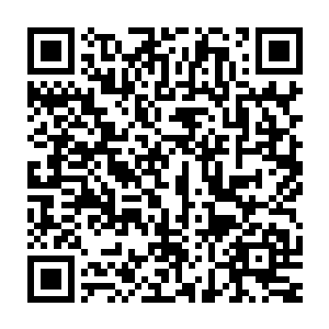 可能是龙战刚才的交流起了作用也有可能是凌菲提供的人参有了用二维码生成