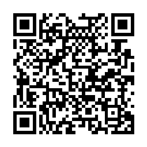 可能还得在杨六手下听从凋零――就像杨六的父亲二维码生成