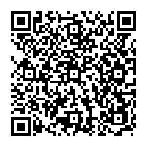 可苗毅之所以走了还能让天街的那些商户紧张害怕就是因为苗毅真能干出这种事来二维码生成