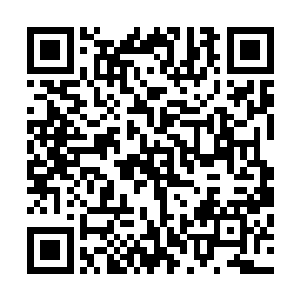 叶尊和拔山已经来到了距离青荒地界没多远的一个城池当中二维码生成