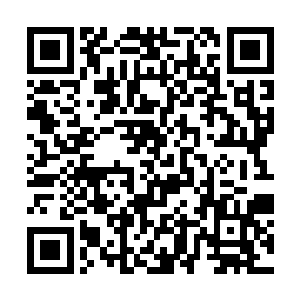 同时一路拿着玉碟观察四周的星象打下路标防备万一二维码生成