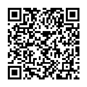 同时也能利用这梦想世界和系统的力量不断磨砺自身二维码生成