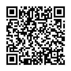 同时用一种带着很强敌意的目光看着雷天和凤凰二维码生成