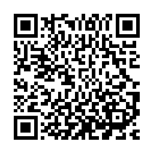 同样用大声的充满感情的瑞典话把秦洛的话给翻译给围观的听众二维码生成