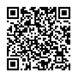 后者看起来完全体现不出身为主教练的价值和意义二维码生成