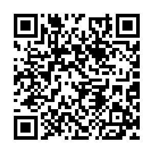 吕轻尘的确还没从两次神魂自爆的损伤中彻底恢复二维码生成