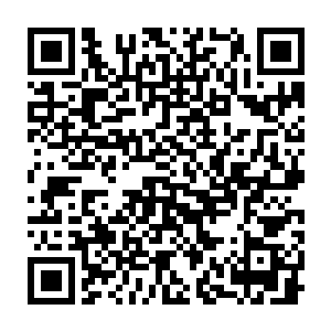 吞蛇军中的那名妖命者也一定可以以摧枯拉朽之势取得完全的胜利二维码生成