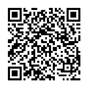 否则我不会用我个人的股份去吸引他们加入这个团队的二维码生成