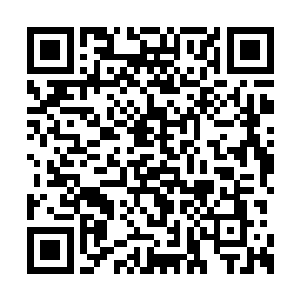 听说他的木灵珠可以大幅度增加木属性法术威力二维码生成